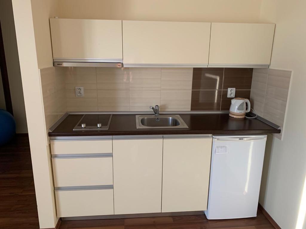 Mlyn Penzion & Wellness Radvaň nad Dunajom Exterior foto